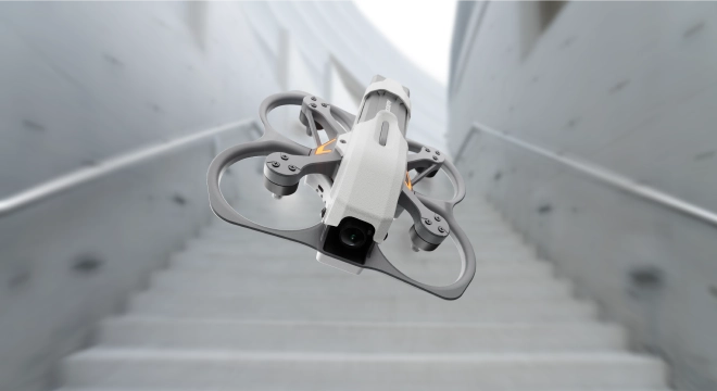 Get Exclusive Support