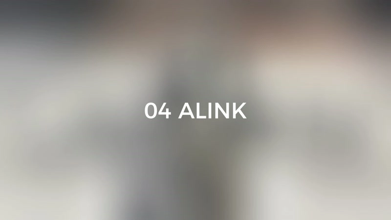 04. ALINK